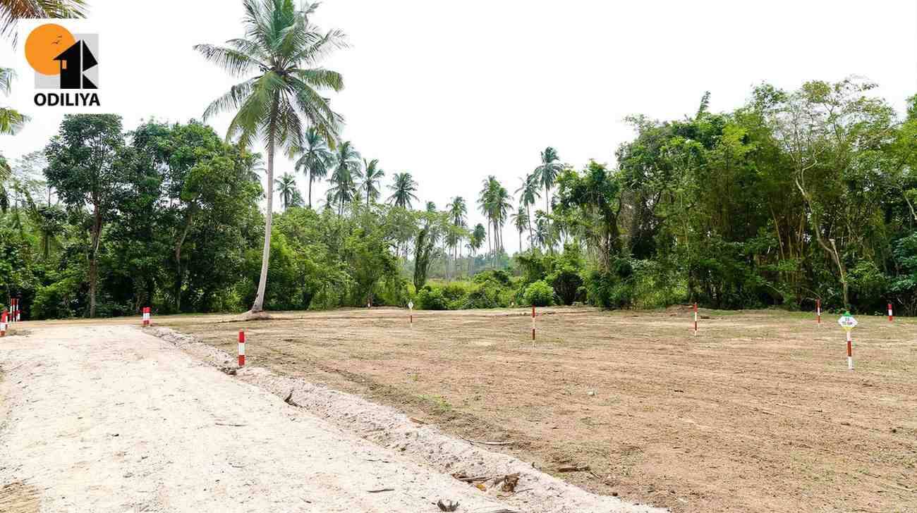 Kurunagala - Gloria - Odiliya land for sale