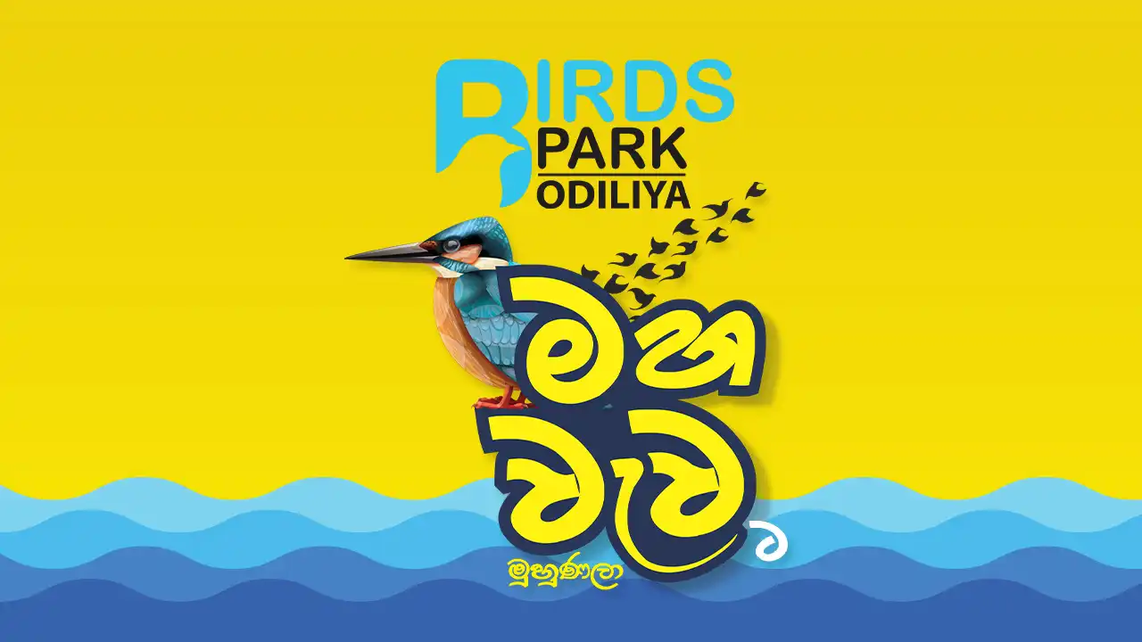 Mahawewa - Birds Park - Odiliya land for sale in Sri Lanka