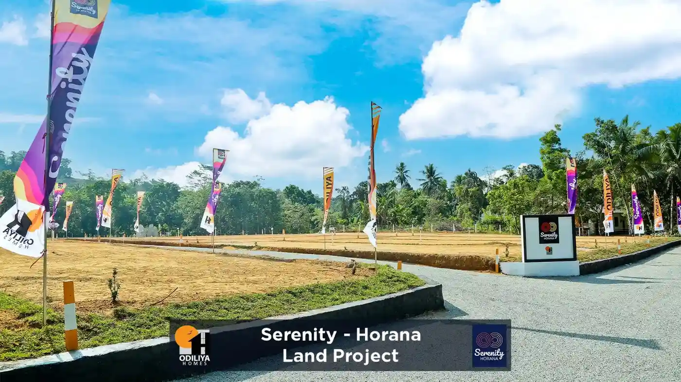 Horana - Serenity