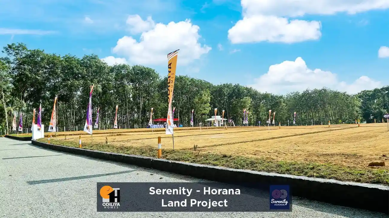 Horana - Serenity