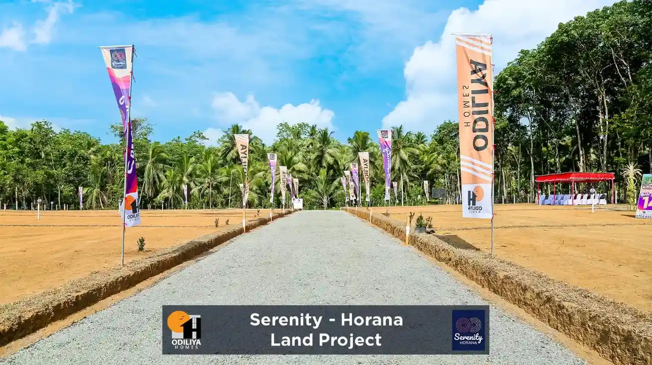 Horana - Serenity