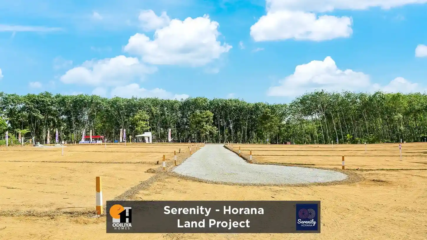 Horana - Serenity