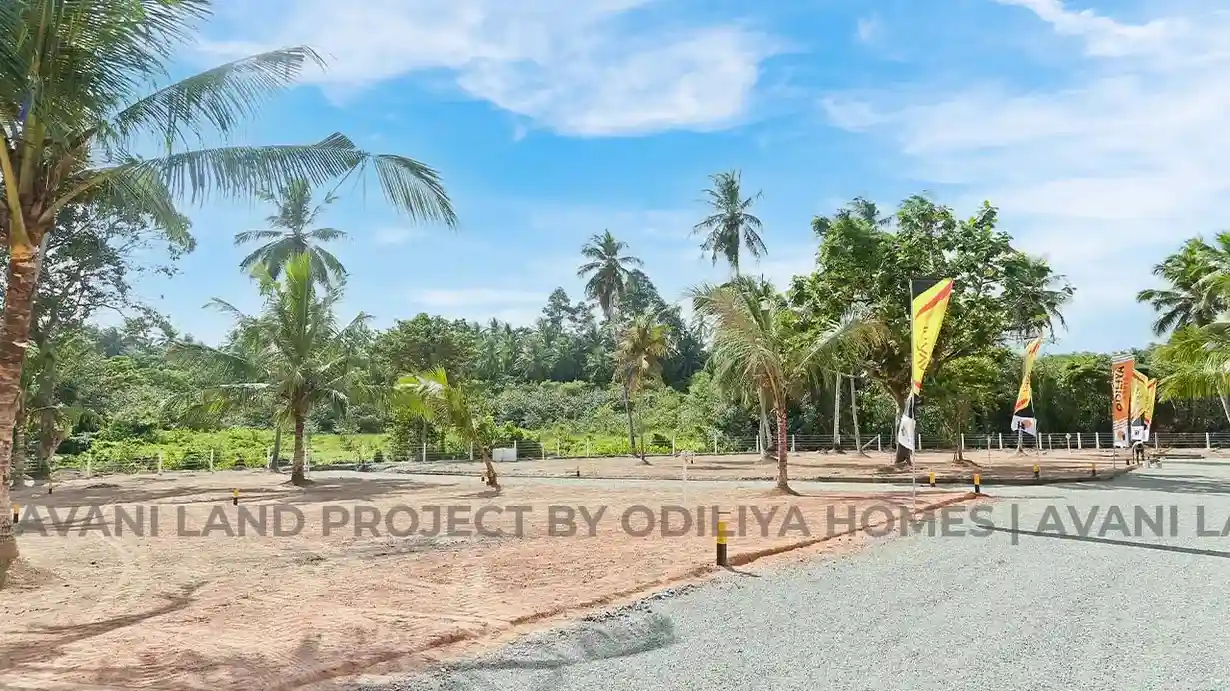 Negombo - Avani - Odiliya land for sale