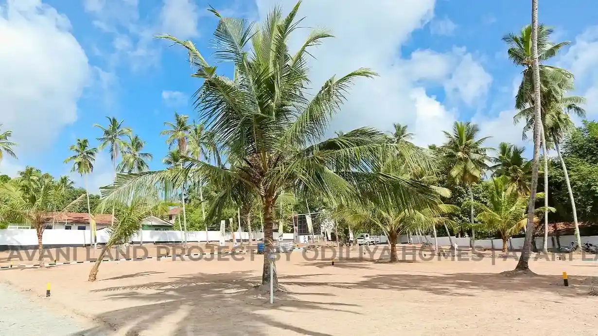 Thumbnail 3: Negombo - Avani