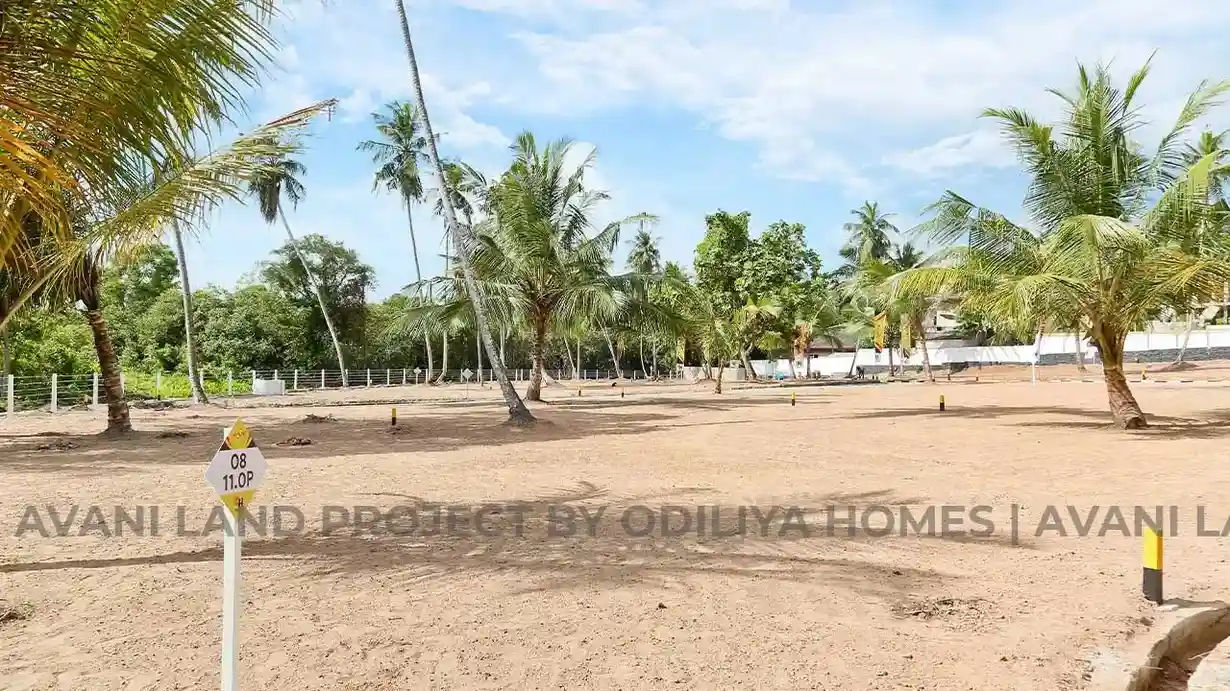 Thumbnail 4: Negombo - Avani