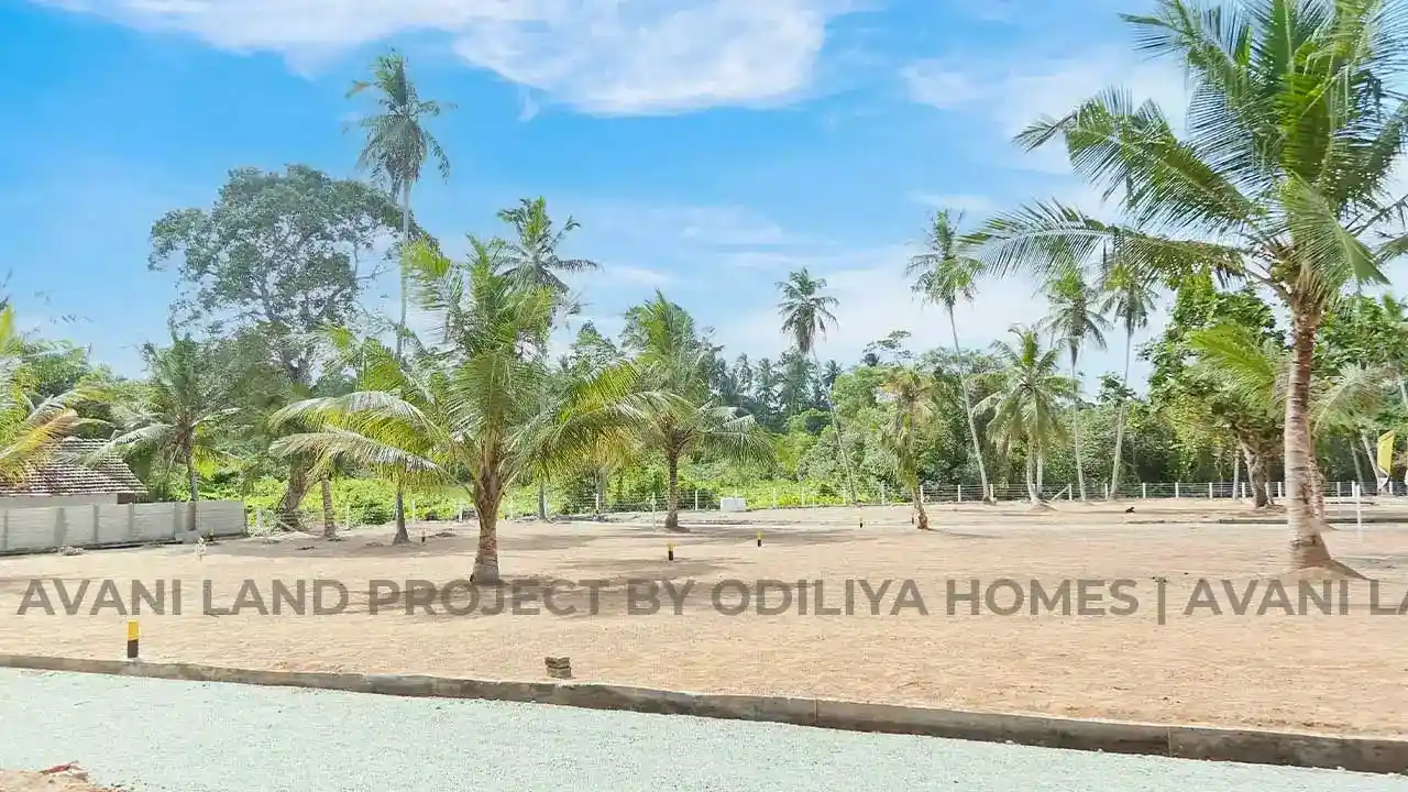 Negombo - Avani
