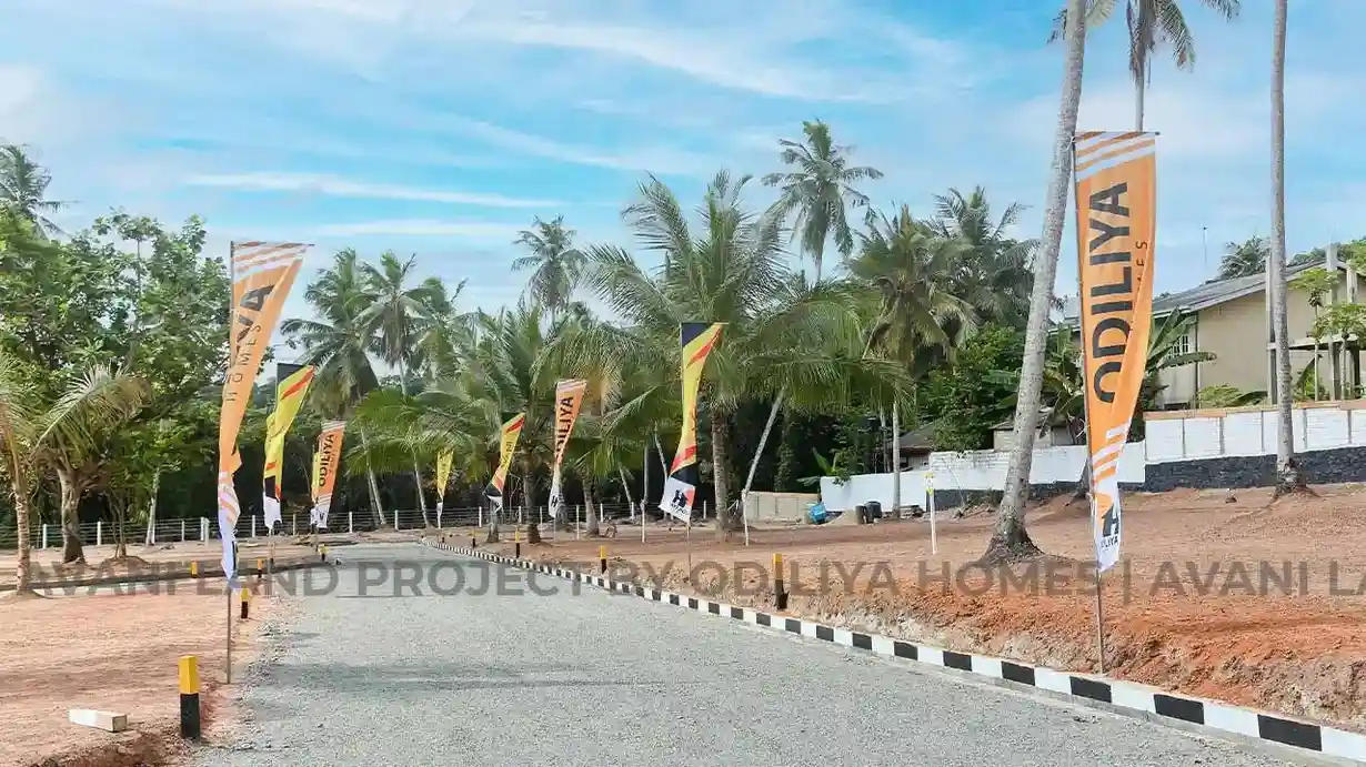 Negombo - Avani
