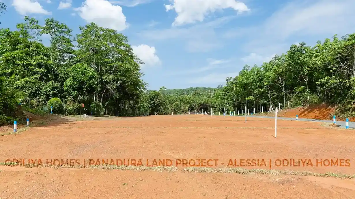 Panadura - Alessia - Odiliya land for sale in Sri Lanka