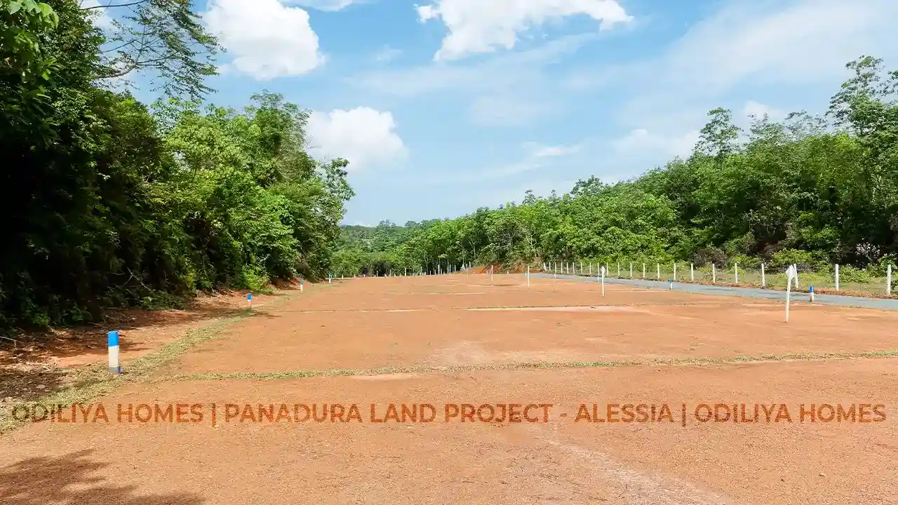 Thumbnail 3: Panadura - Alessia