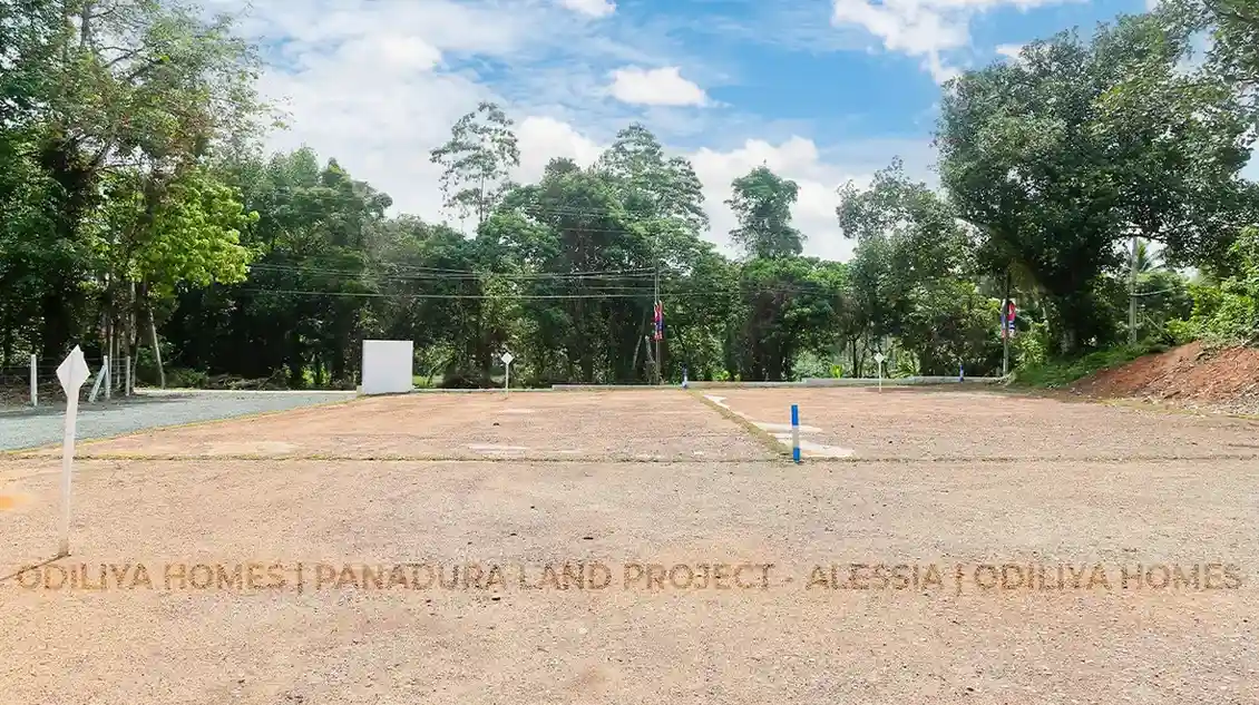 Thumbnail 4: Panadura - Alessia