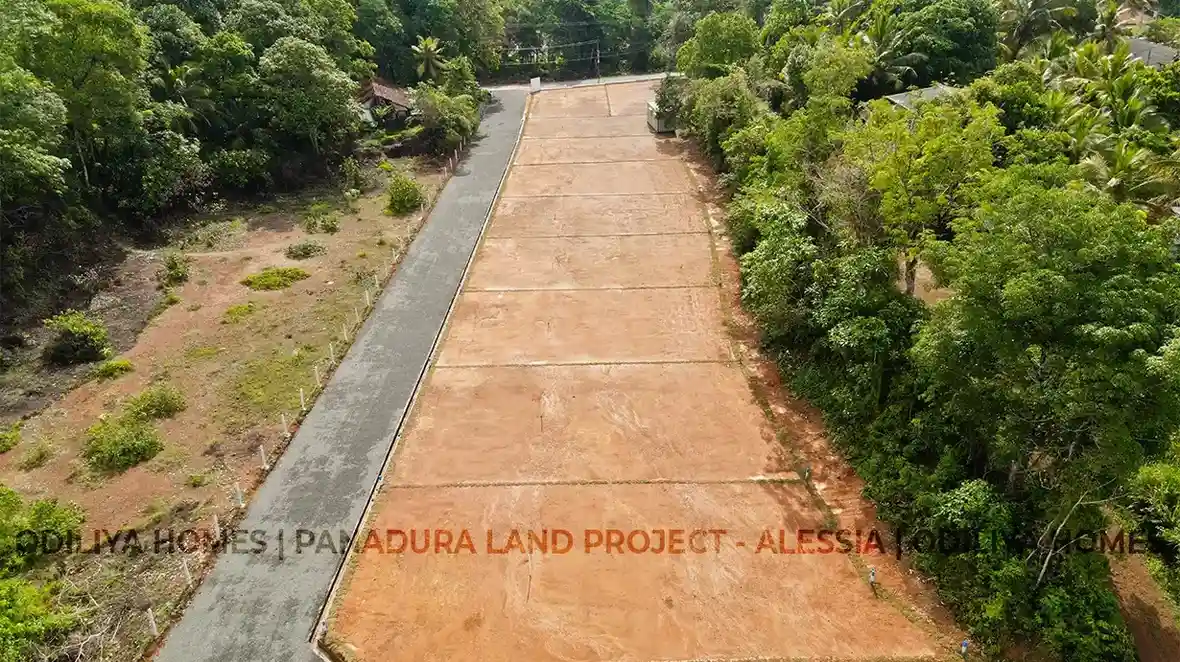 Panadura - Alessia