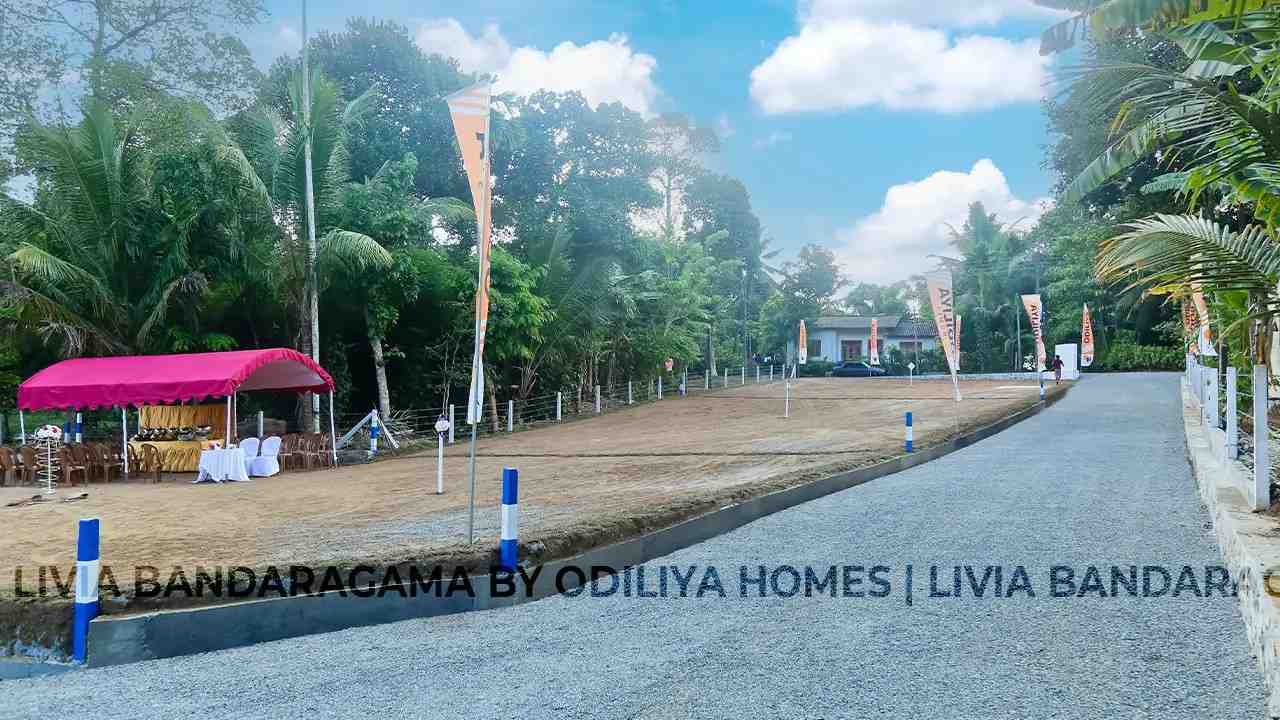 Bandaragama - Livia