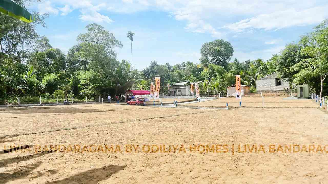 Bandaragama - Livia