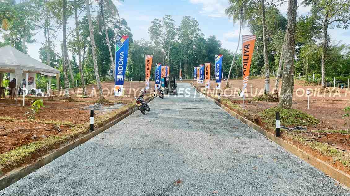 Ja-Ela - Endora - Odiliya land for sale