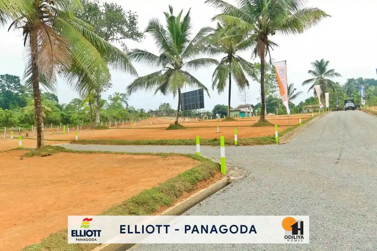Panagoda - Elliott