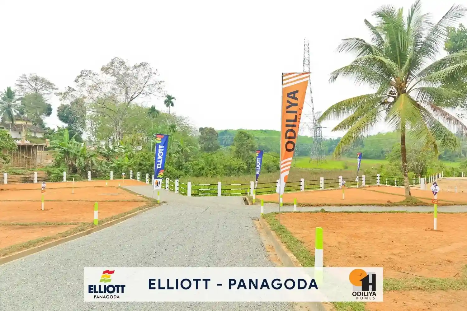 Panagoda - Elliott