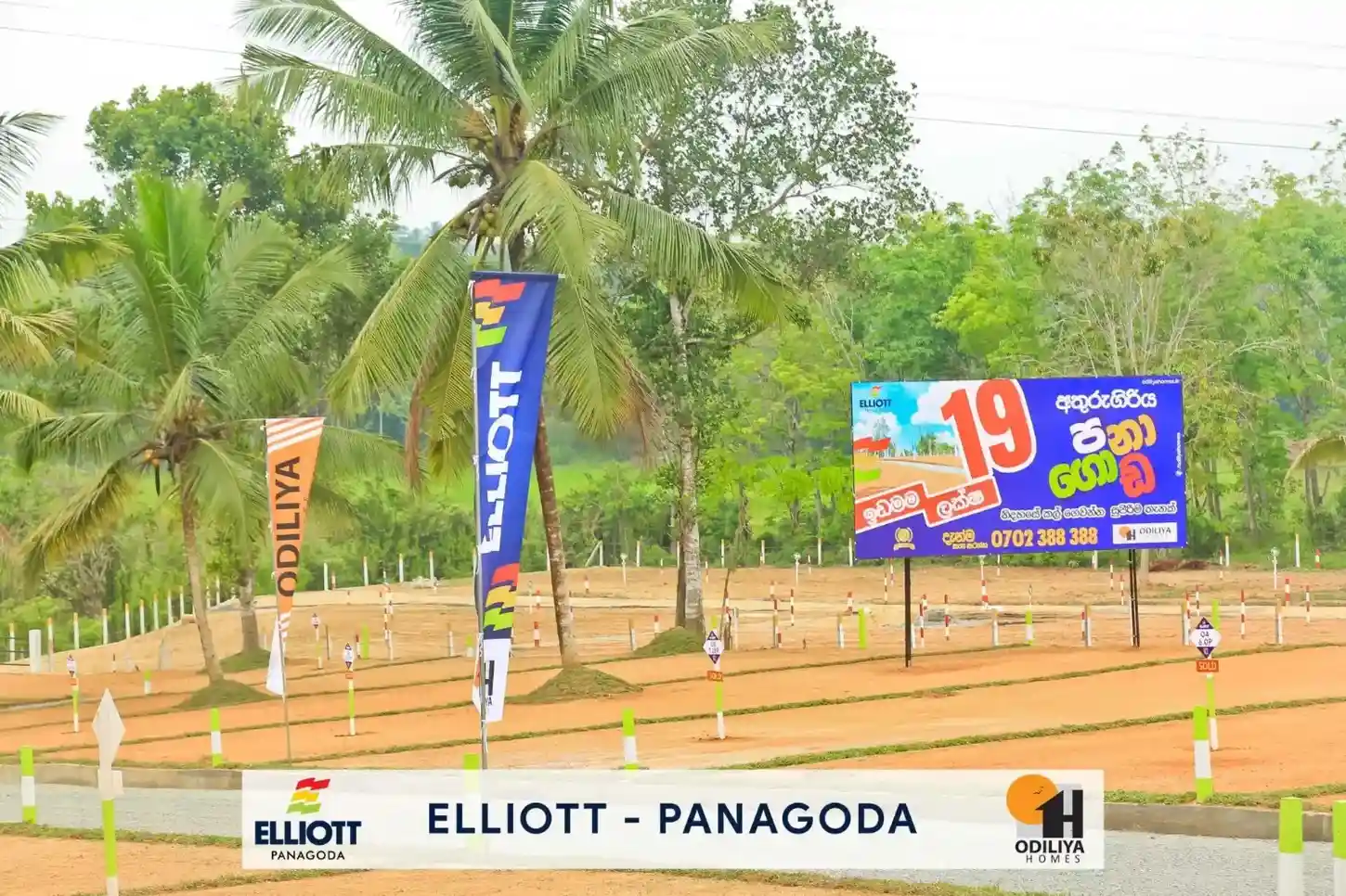 Panagoda - Elliott