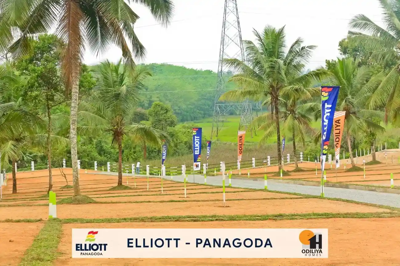 Panagoda - Elliott