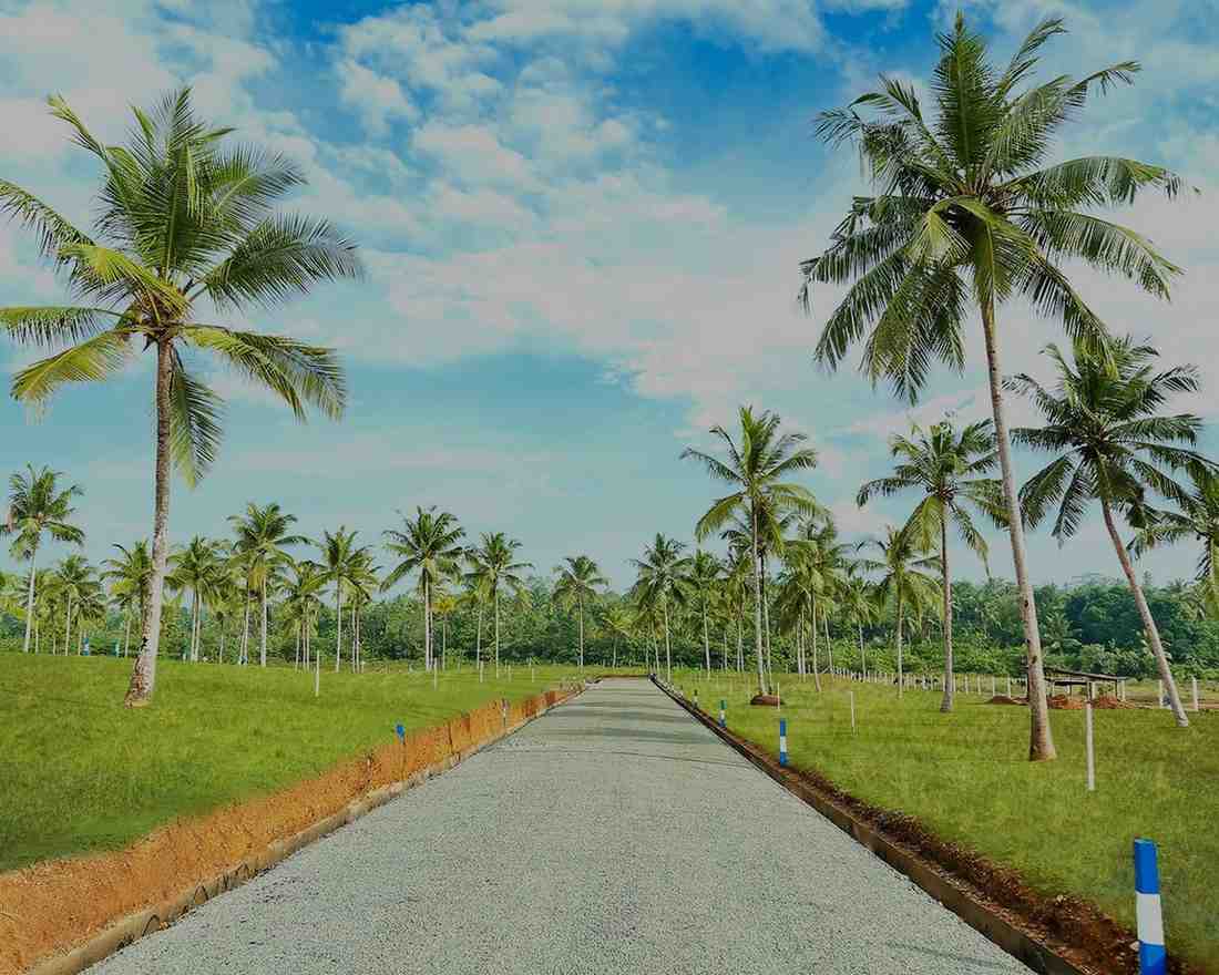 Hikkaduwa - Abhimani